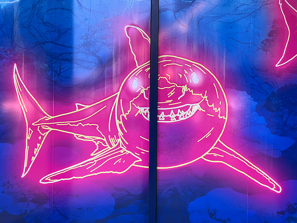 Watch: This is why sea creatures have appeared in York city centre
