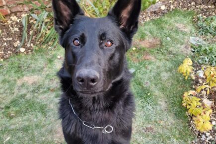 Meet PD Rhun dedicated to fighting crime in North Yorkshire