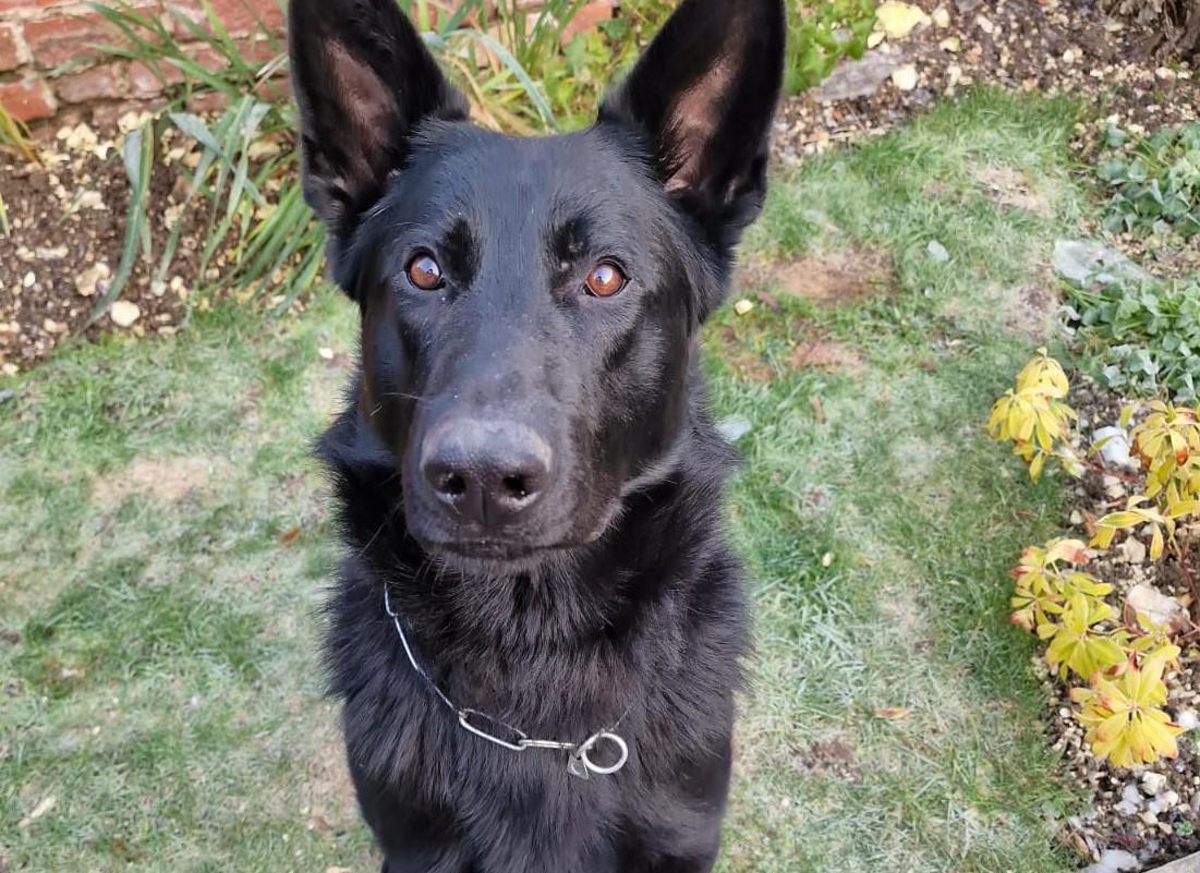 Meet PD Rhun dedicated to fighting crime in North Yorkshire