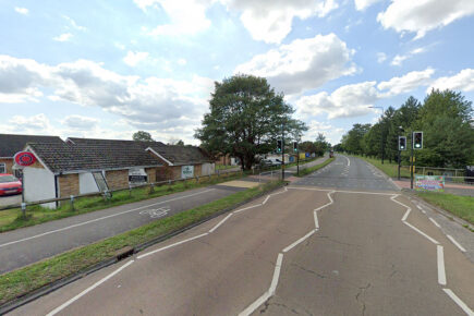 Fire crew rescue girl stuck in a tree near York shops