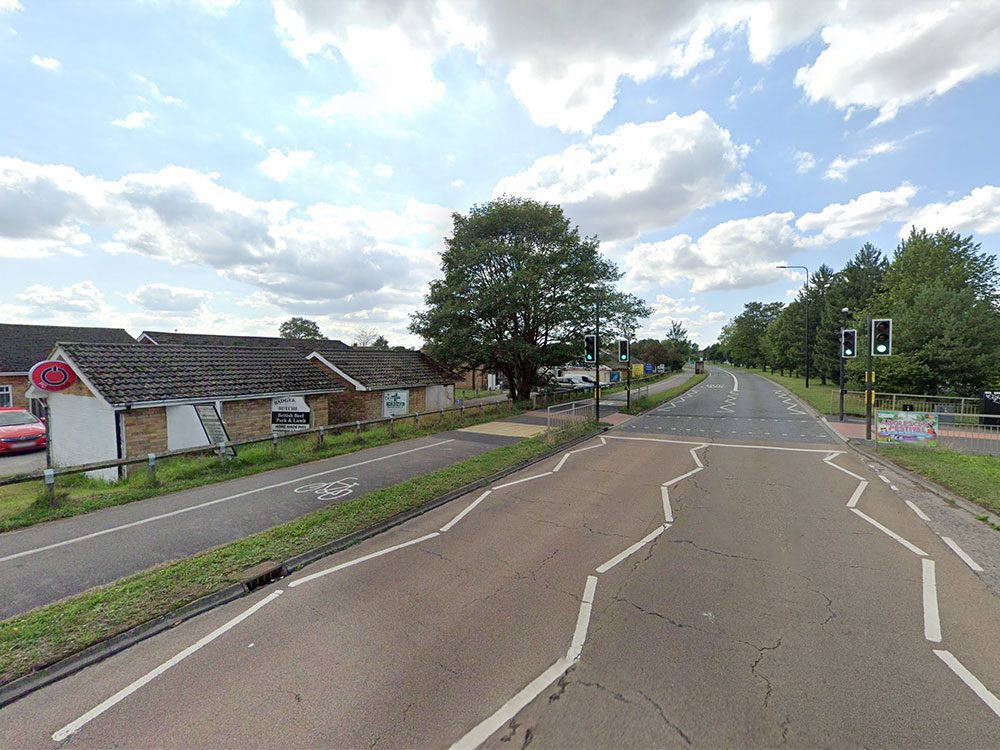 Fire crew rescue girl stuck in a tree near York shops