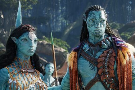 York film preview: Avatar: The Way of Water and festive favourites