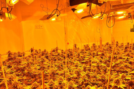 Police discovered this in a York suburb after a tip-off by a neighbour