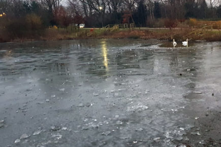 Police issue warning after children seen walking onto frozen pond in York