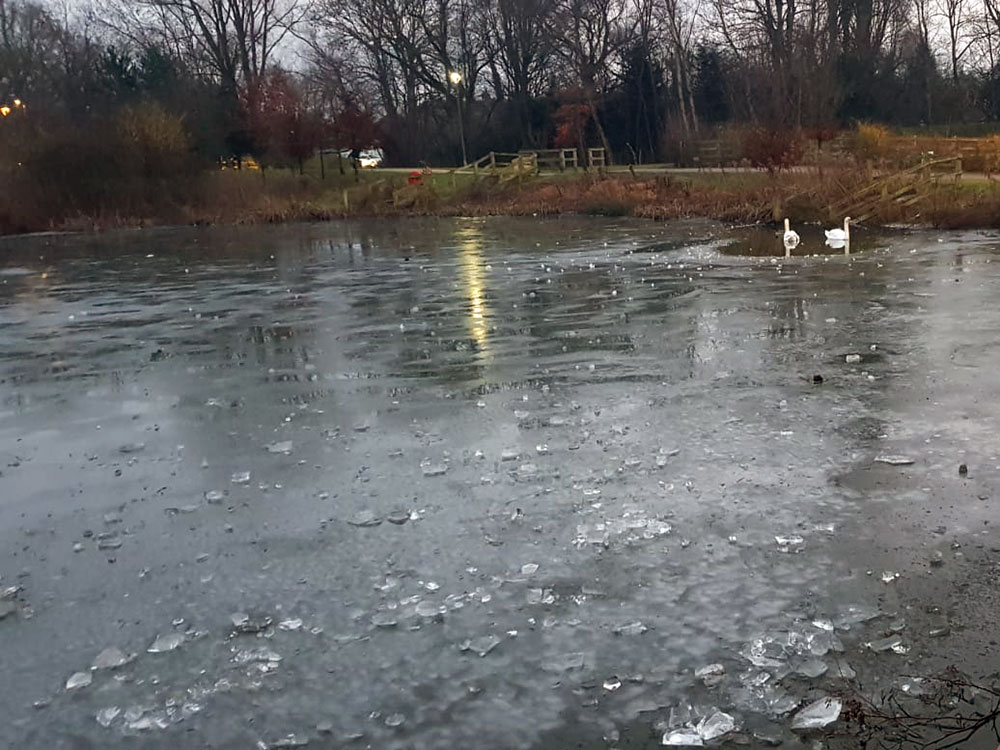 Police issue warning after children seen walking onto frozen pond in York