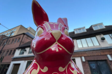 Video: A giant rabbit has suddenly appeared in York! Here’s why