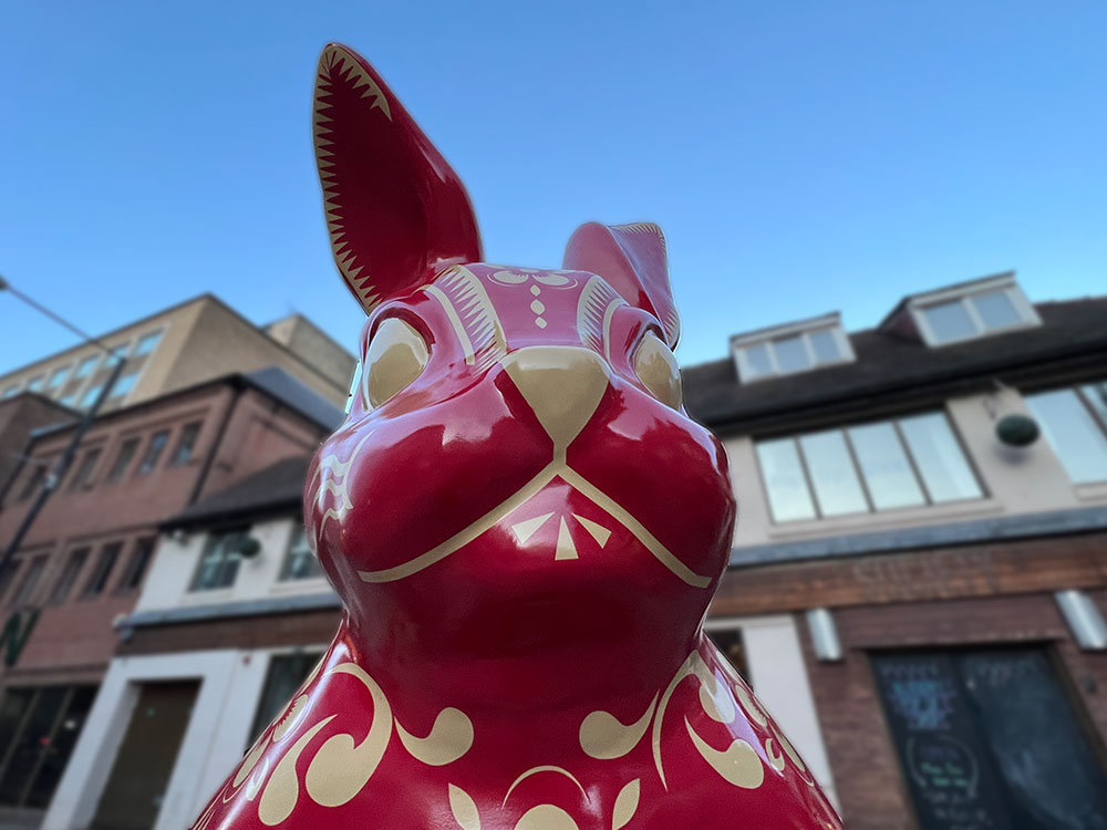 Video: A giant rabbit has suddenly appeared in York! Here’s why
