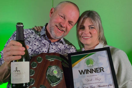 ‘One of the best days out ever’: York family attraction  wins national award