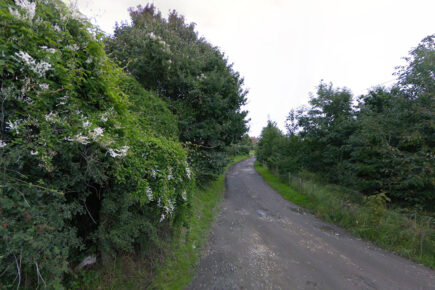 Youths start fires in protected York woodland