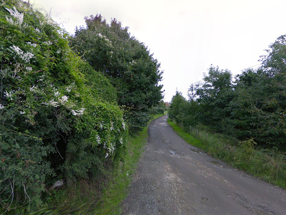Youths start fires in protected York woodland
