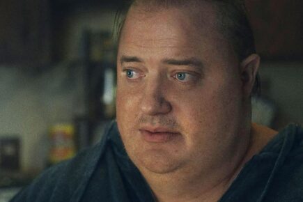 York film preview: The Whale, Puss in Boots and Saint Omer