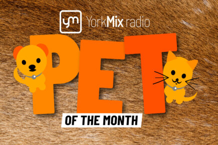 Pet of the Month with RSPCA