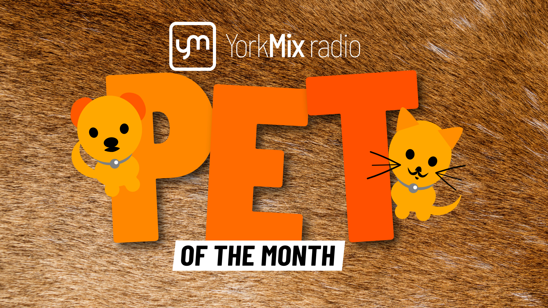 Pet of the Month with RSPCA