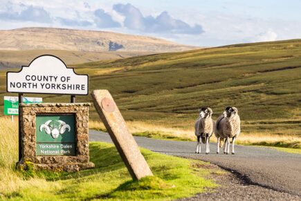 New dawn for North Yorkshire: England’s largest council launches with pledge to stay local