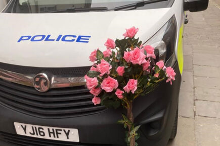 ‘This was no joke’: Police step in after people hit with rose bush in York