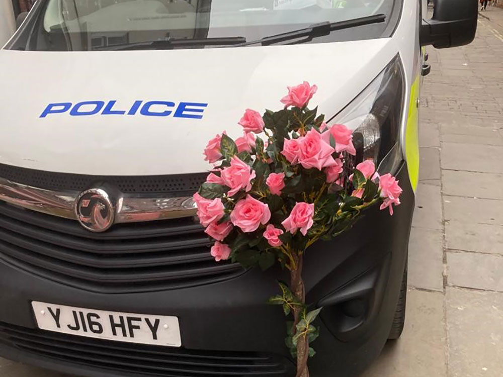 ‘This was no joke’: Police step in after people hit with rose bush in York