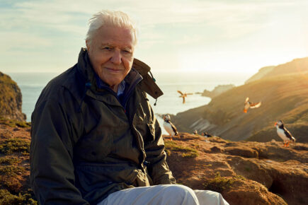 York to pay giant tribute to Sir David Attenborough as he turns 100