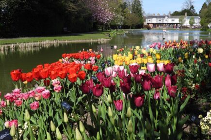 Popular flower festival to wow at venue near York