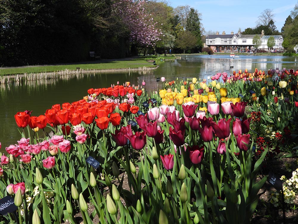 Popular flower festival to wow at venue near York