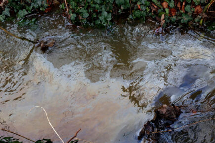 Investigation underway after oil pollutes beck near York primary school