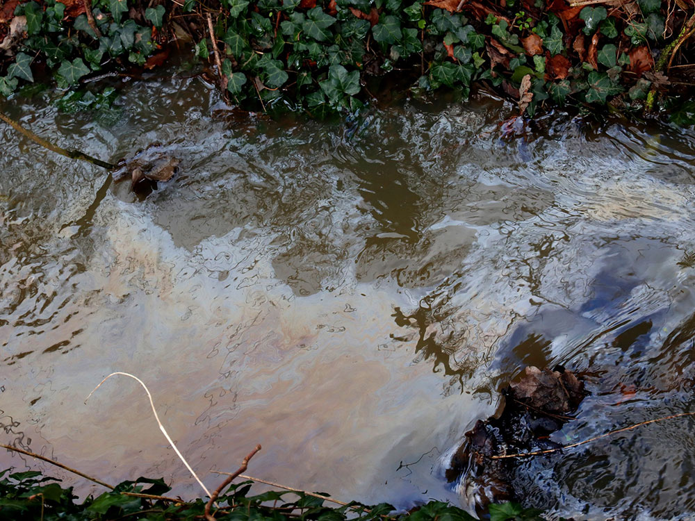 Investigation underway after oil pollutes beck near York primary school
