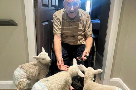 ‘This made my day!’ York care home springs a woolly surprise on residents