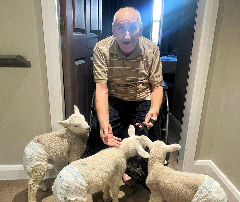 ‘This made my day!’ York care home springs a woolly surprise on residents