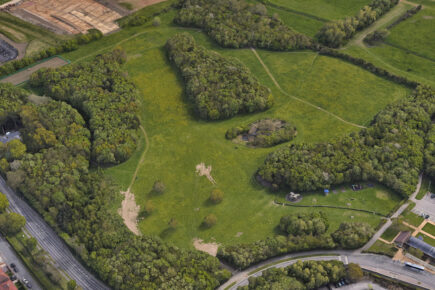 Man arrested after report of indecent exposure in York park