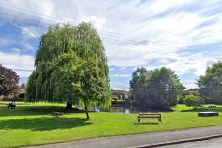 New pond proposed for York – Vote underway