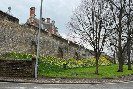 Emergency services called after person falls ‘in difficult area’ near York city walls