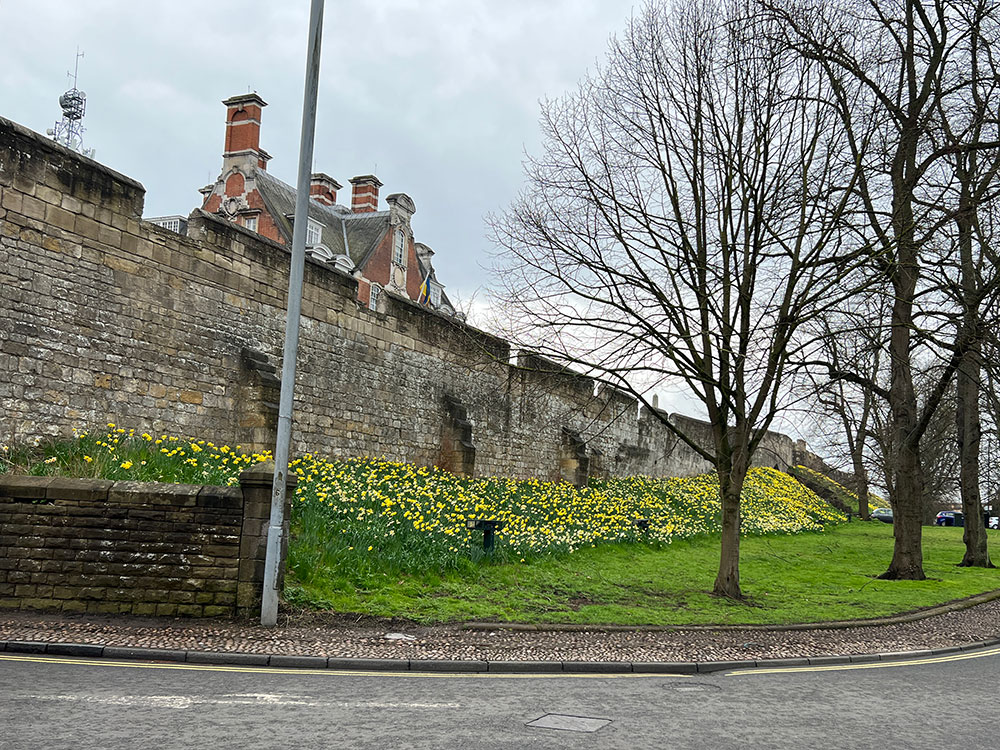 Emergency services called after person falls ‘in difficult area’ near York city walls