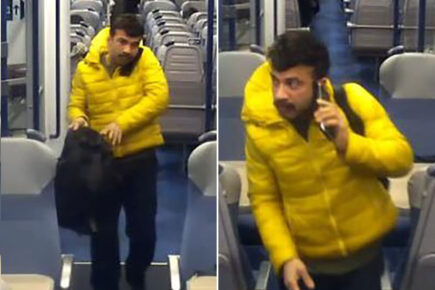 Renewed appeal after sexual assault on York train