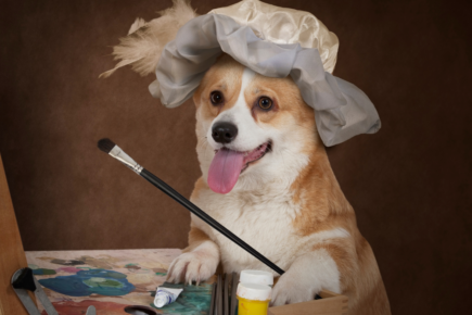 Doggy life drawing is coming to York – with free donuts!