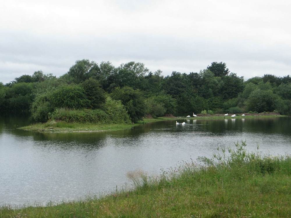 Two teenagers drown at East Yorkshire beauty spot