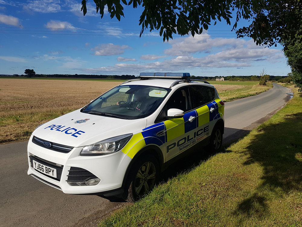 Police want to trace York livestock owner after incident on common