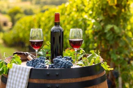 Cheers! York could soon get its own wine – thanks to plans for a city vineyard