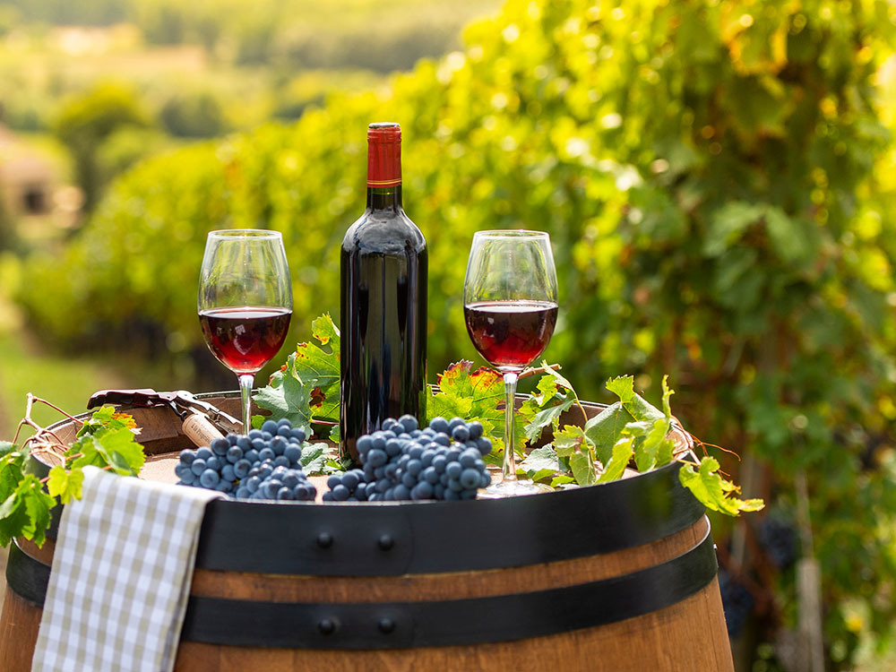 Cheers! York could soon get its own wine – thanks to plans for a city vineyard