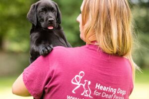 Hearing Dogs for Deaf People to hold information day