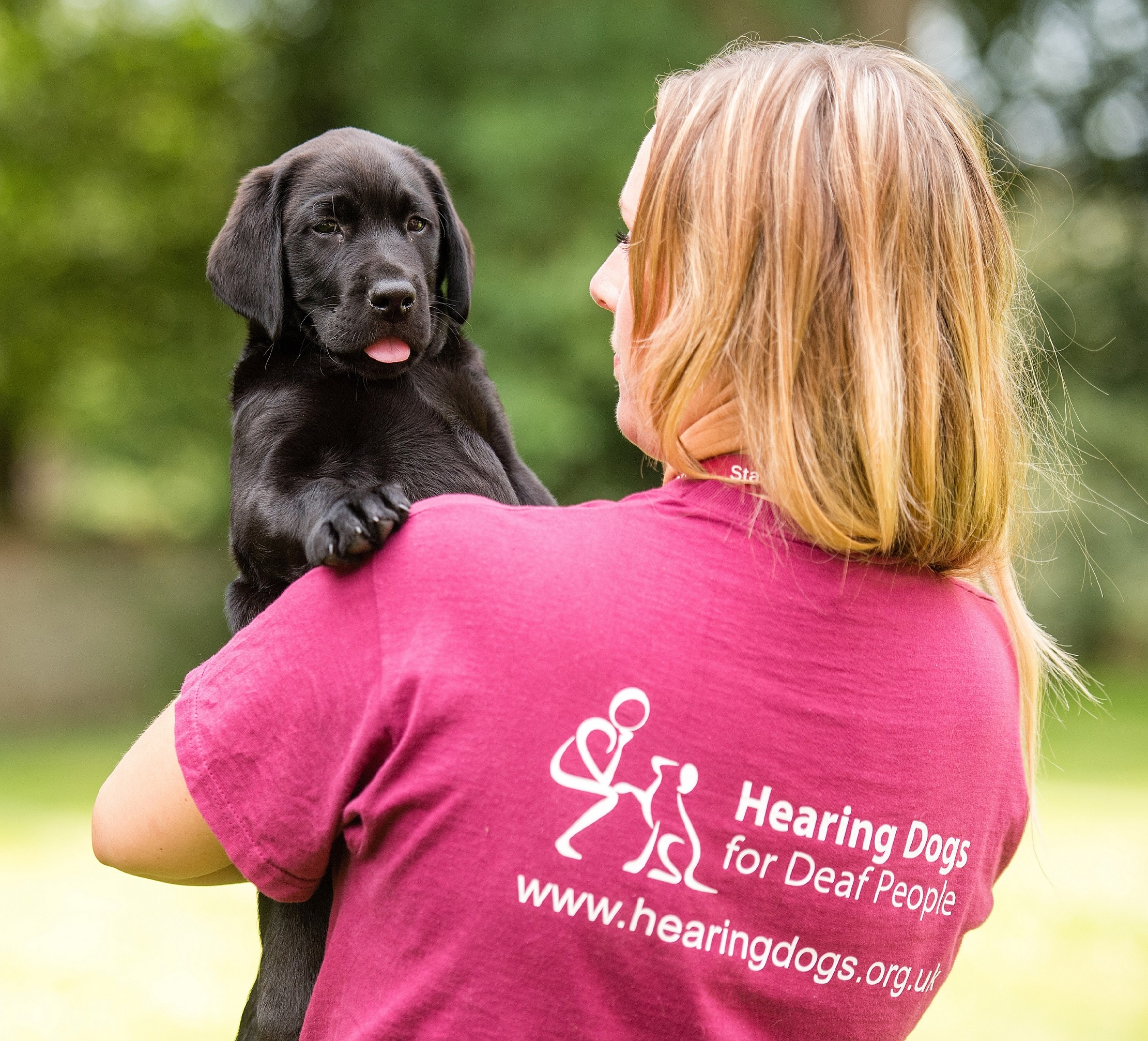Hearing Dogs for Deaf People to hold information day