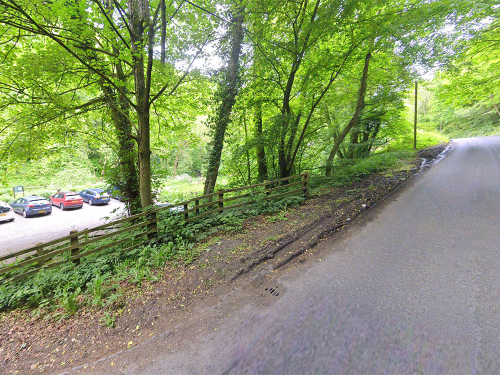 Teenager dies in crash in North Yorkshire woods