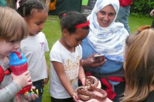 Meet a rescue bat and dissect owl poo at Family Wildlife Day this weekend