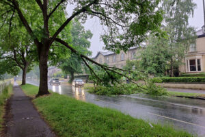 Updated: Tree branch cleared from main York road