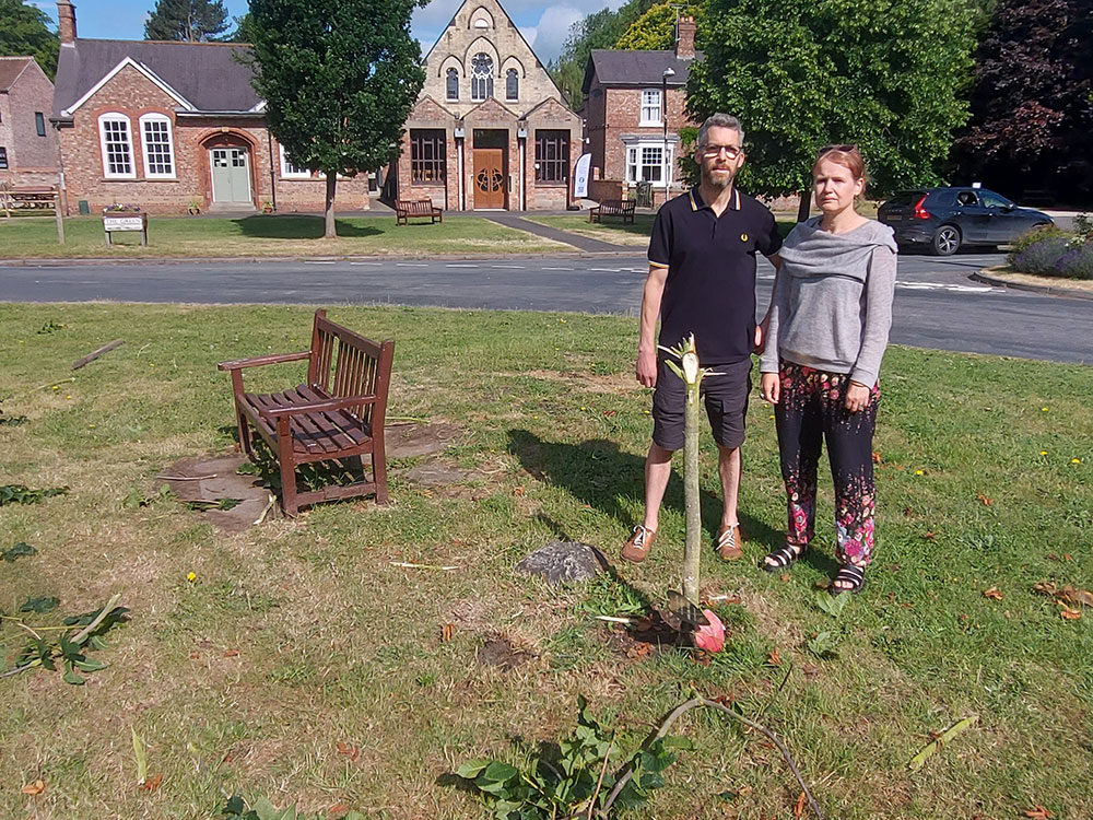 ‘Who would do this?’ Family devastated as memorial tree to Millie, 13, is ‘snapped and shredded’
