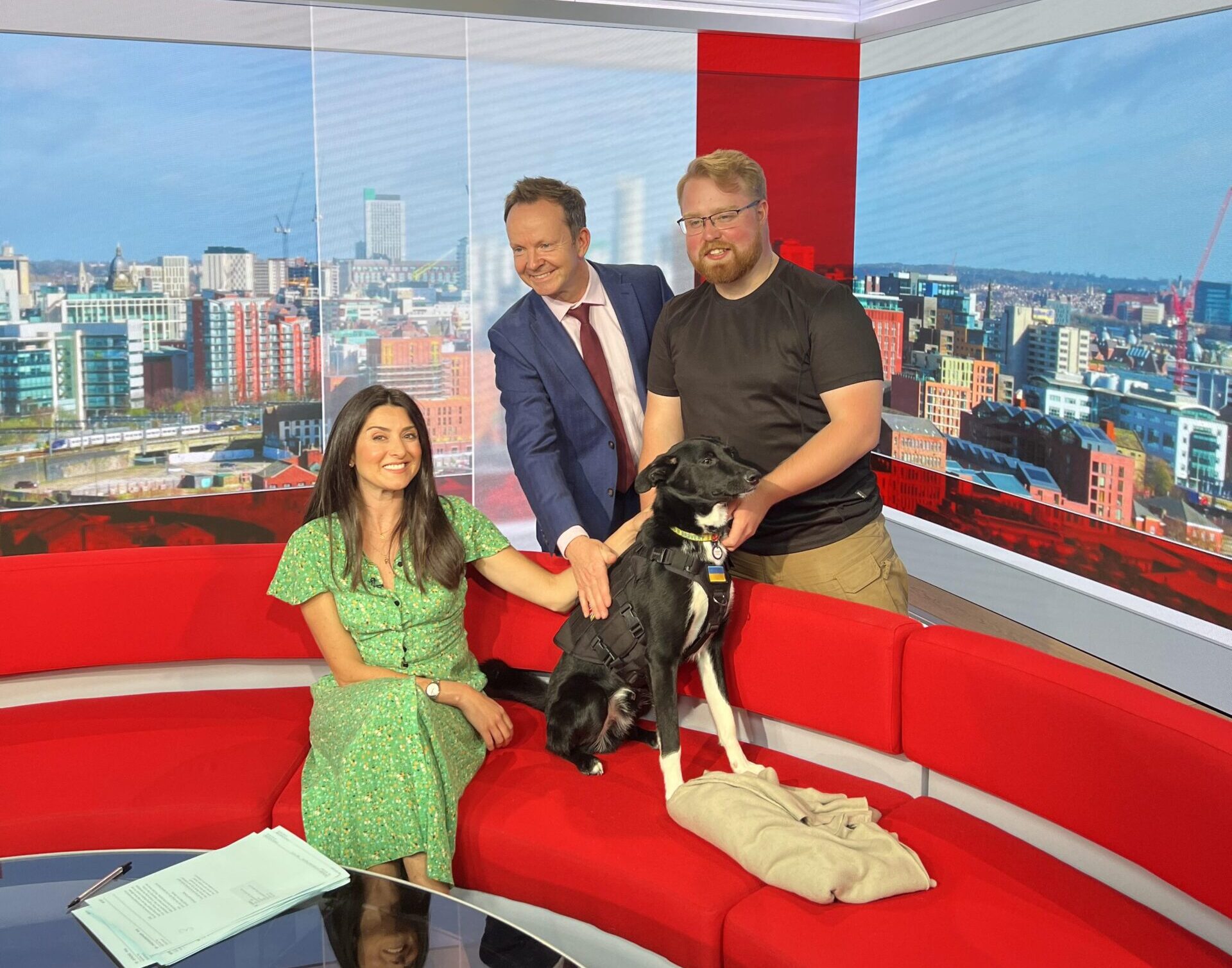 Ukrainian rescue dog delights TV viewers but he was a little nervous in the BBC canteen