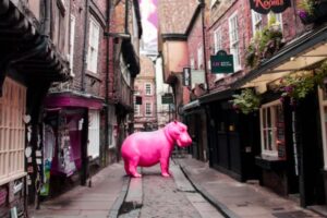 A hippo on the Shambles? Just one of the strange things you can see in York right now