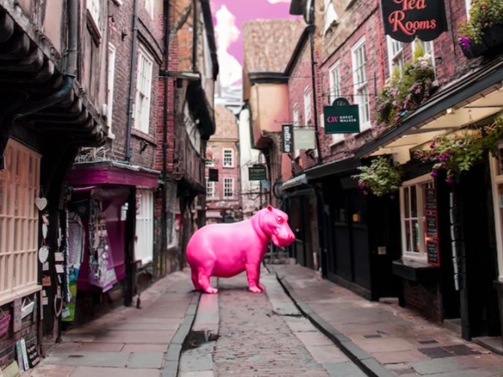 A hippo on the Shambles? Just one of the strange things you can see in York right now