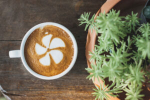 Seven hidden café gardens to visit in York