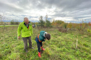 How a small team of volunteers are turning York green