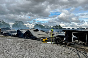 More than 30,000 chickens die in major blaze at poultry farm