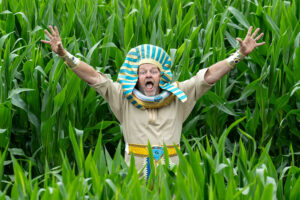 Revealed: The spectacular design for the York Maze 2023